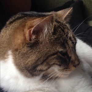 Meet your Posher, Harry